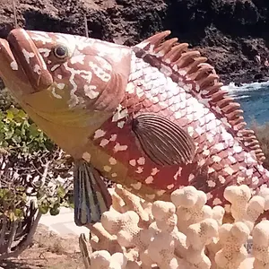 https://casa-arinaga.in-canary-islands.com